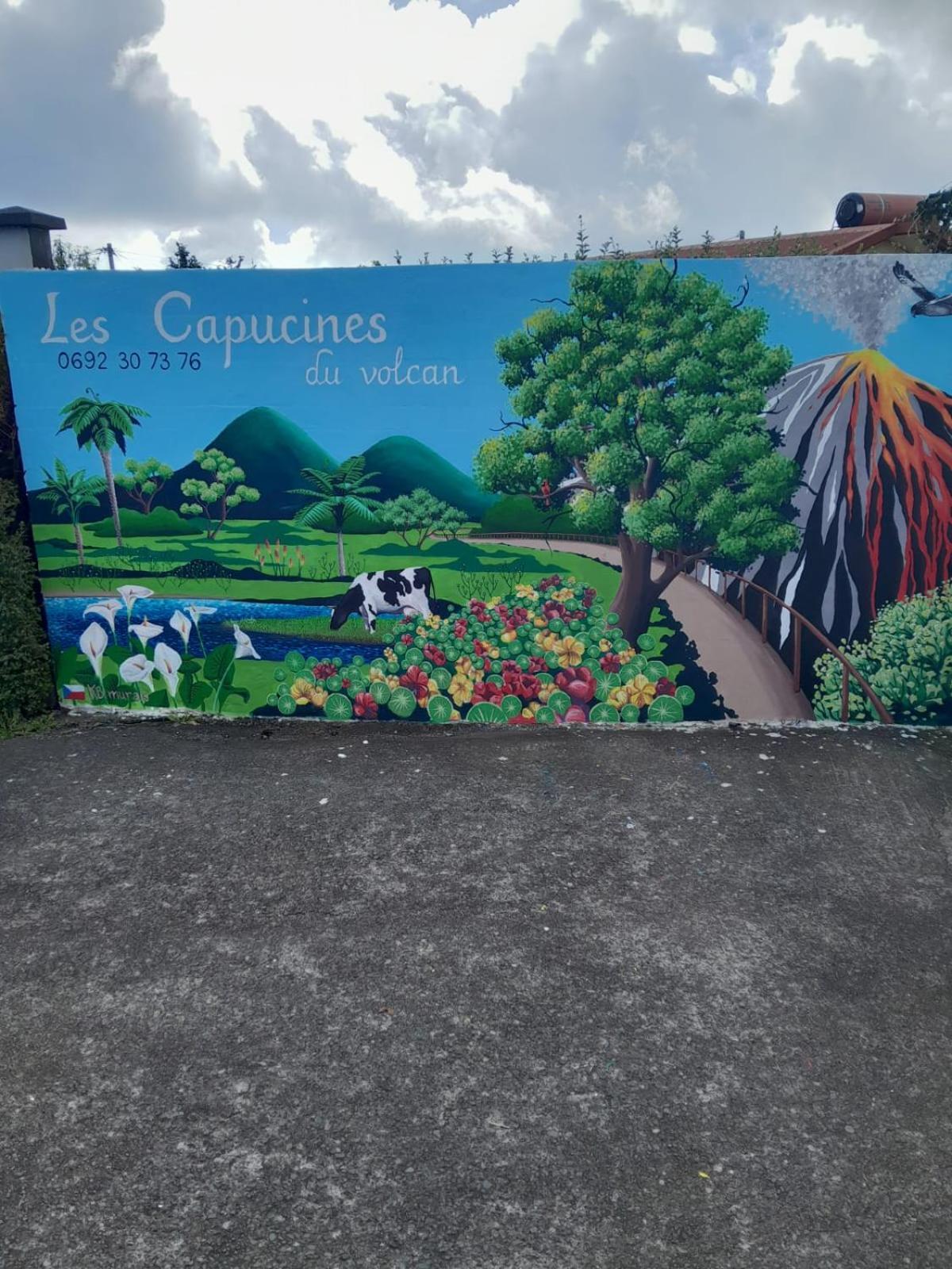 Chambre Cosy Aux Capucines Du Volcan La Plaine Des Cafres Le Tampon Exterior photo